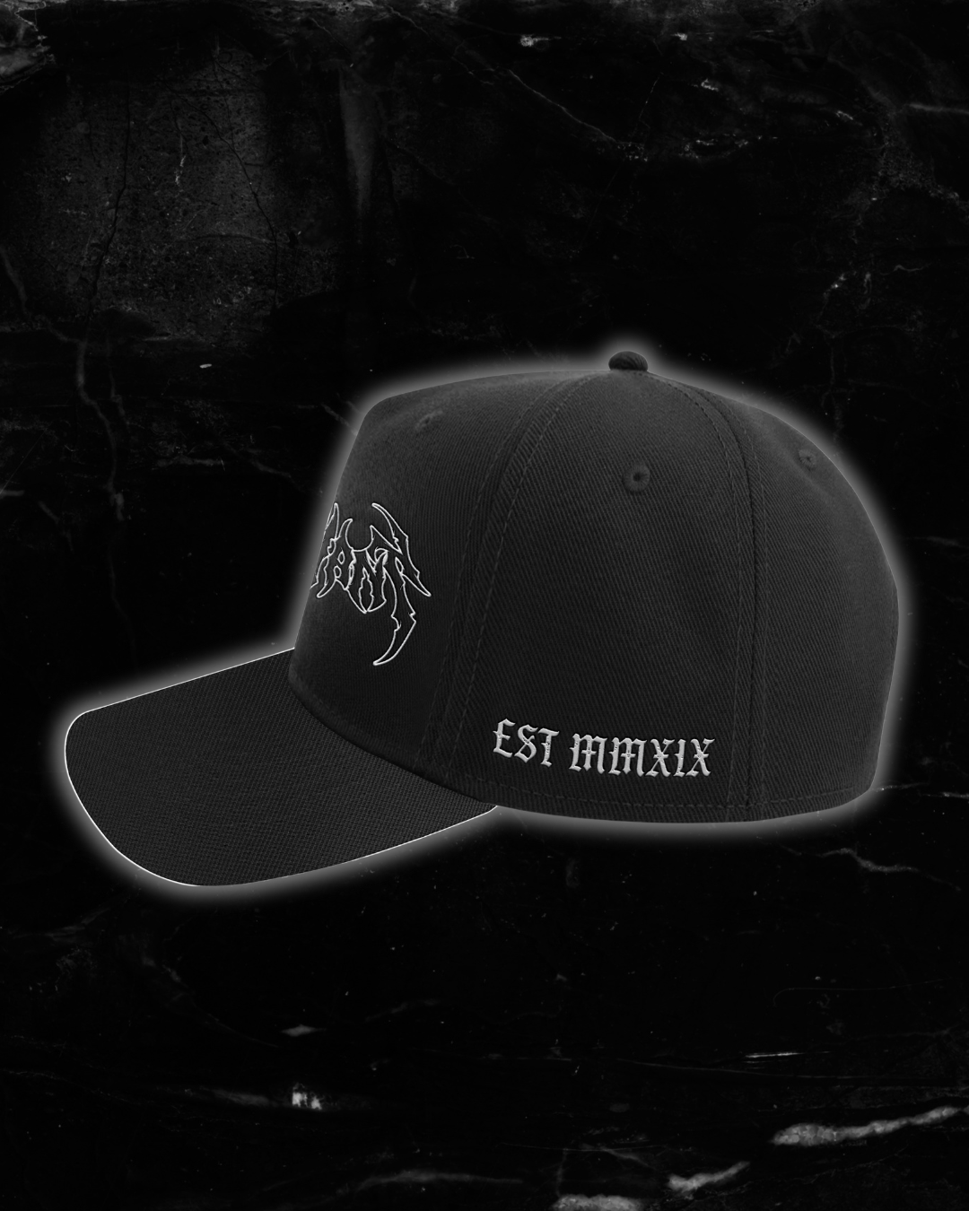KILL THEM WITH SUCCESS HAT